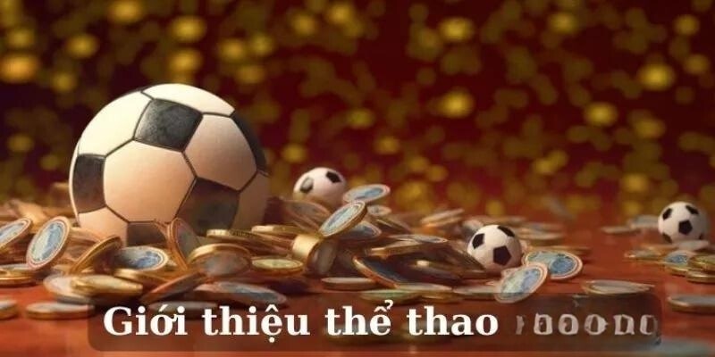 Thể Thao Kubet77 - Sảnh Chơi Hiện Đại, An Toàn Nhất Năm 2024